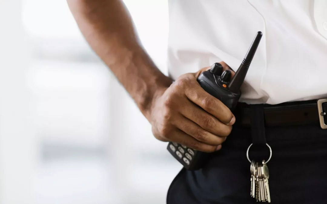 Coordination SSI : panorama des missions et exigences réglementaires