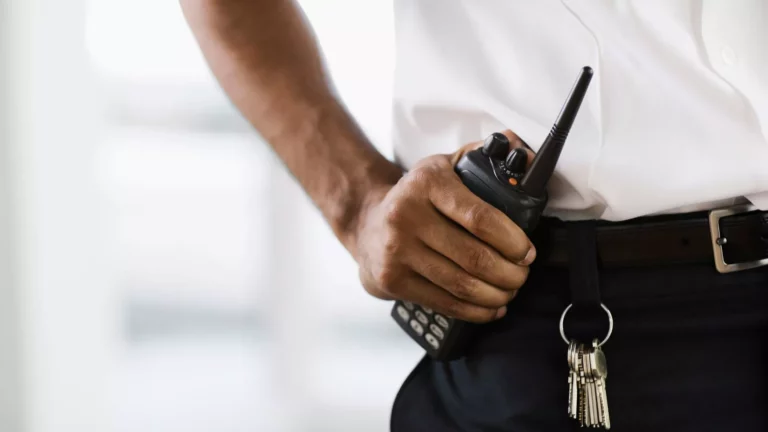 Coordination SSI : panorama des missions et exigences réglementaires
